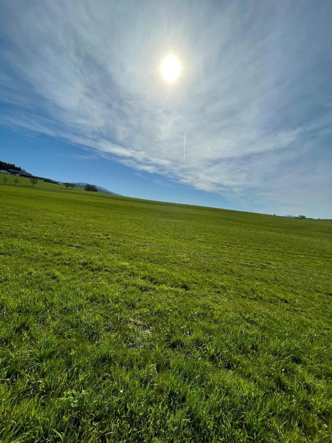 Freundorf Hundefreundliche Unterkunft Im Muehlviertel In Oberoesterreich מראה חיצוני תמונה